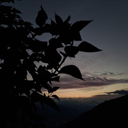 Pensjonat Alt'O Martinets Nendaz Zewnętrze zdjęcie