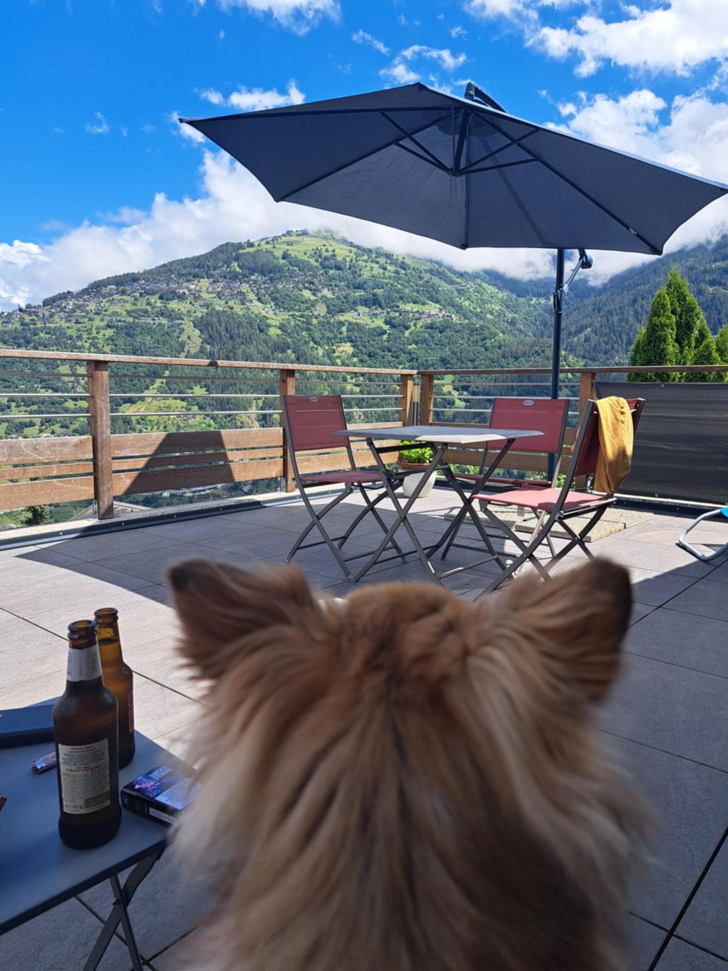Pensjonat Alt'O Martinets Nendaz Zewnętrze zdjęcie