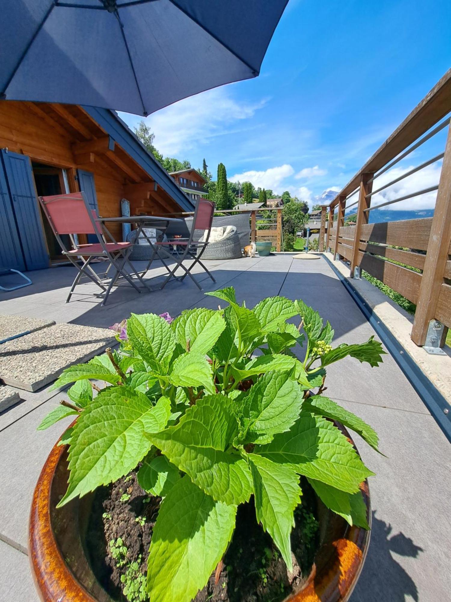 Pensjonat Alt'O Martinets Nendaz Zewnętrze zdjęcie