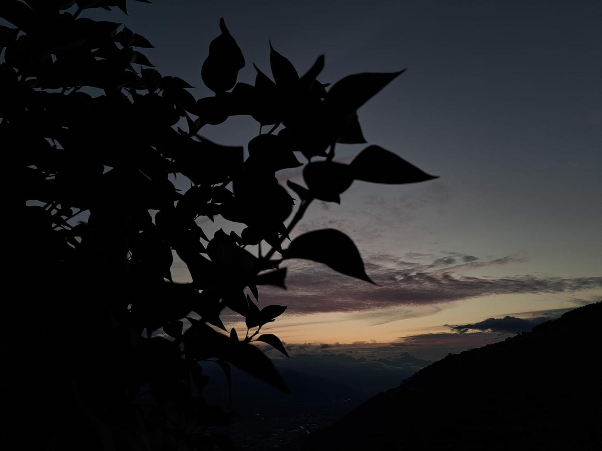 Pensjonat Alt'O Martinets Nendaz Zewnętrze zdjęcie